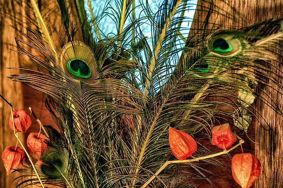 04)50~Open~The Eyes Have It~Leslie Braun