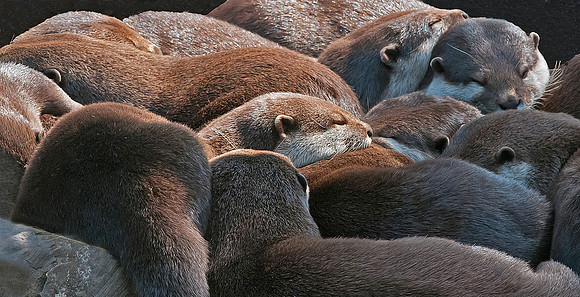 Togetherness - Murphy Hektner