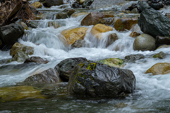 R Hammerly_scenery_Up the Creek
