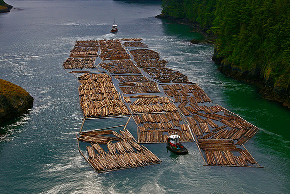 7-01~Open~Log Boom in Deception Pass~Marilyn Hektner