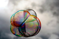 Bubble - Lee Dygert