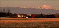 Late Afternoon - Murphy Hektner