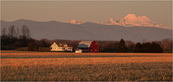 Late Afternoon - Murphy Hektner