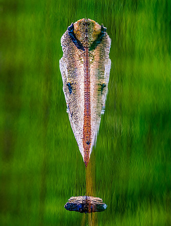 Abstract Reflection - Ken Salzman