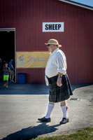 Sheep - Roger Patterson
