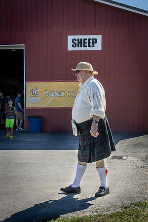Sheep - Roger Patterson