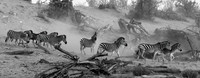 Heading To The River_Roger Iverson