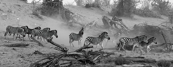 Heading To The River_Roger Iverson