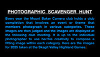 2025 Scavenger Hunt-photos