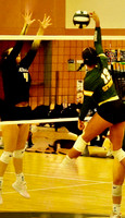 Net Play~Ron Frederick
