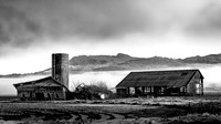 Barn and Silo in Fog - Ron Edman