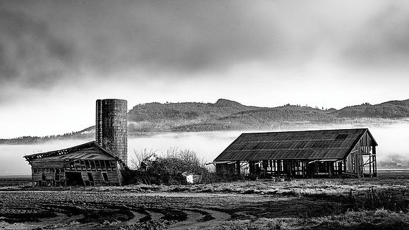 Barn and Silo in Fog - Ron Edman