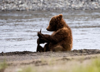 Play time - Joan Ritzenthaler