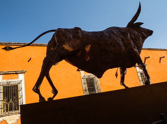 Bull of San Miguel~Joan Ritzenthaler