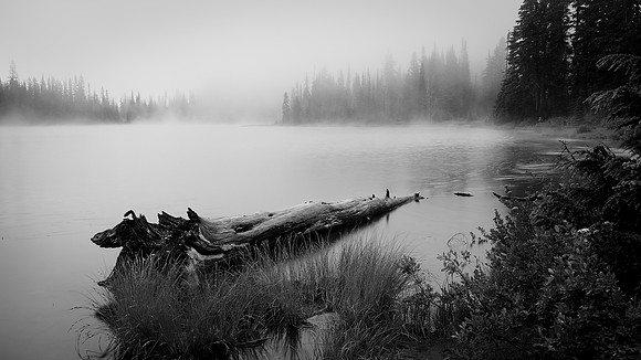 Foggy Morning Reflection Lake - Ron Edman
