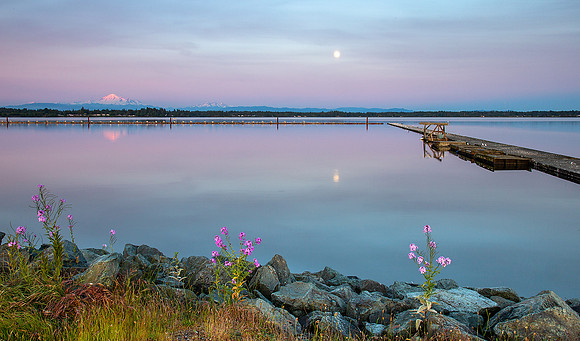 3-HM5)3-35~Seascape~Moon over Bay~Margaretha Maryk