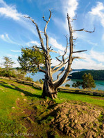 Burrow's Pass Overlook - Neil O'Hara