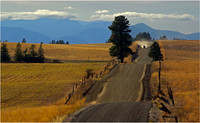 Country Road - Murphy Hektner