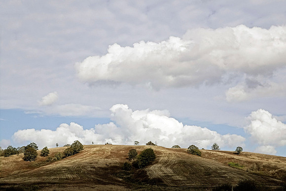 Basket Slough - Jay Raney