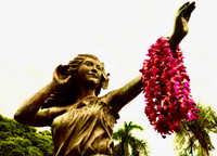 Hawaiian Greeting - Ron Frederick