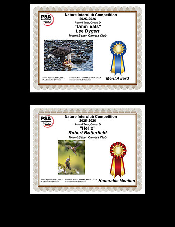Awards3