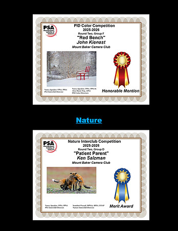 Awards2