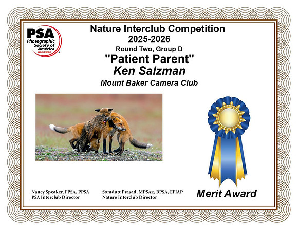 Ken Salzman.Nature copy