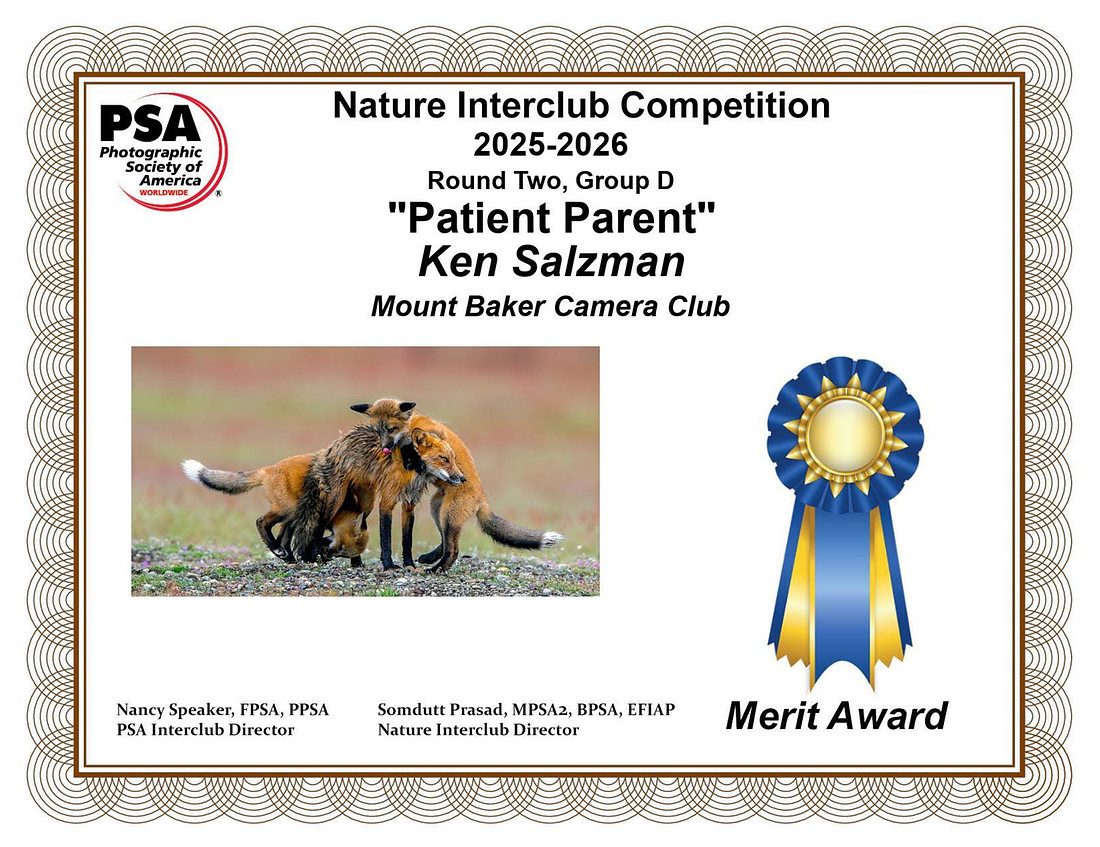 Ken Salzman.Nature copy