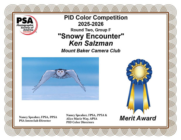 Ken Salzman.Open copy