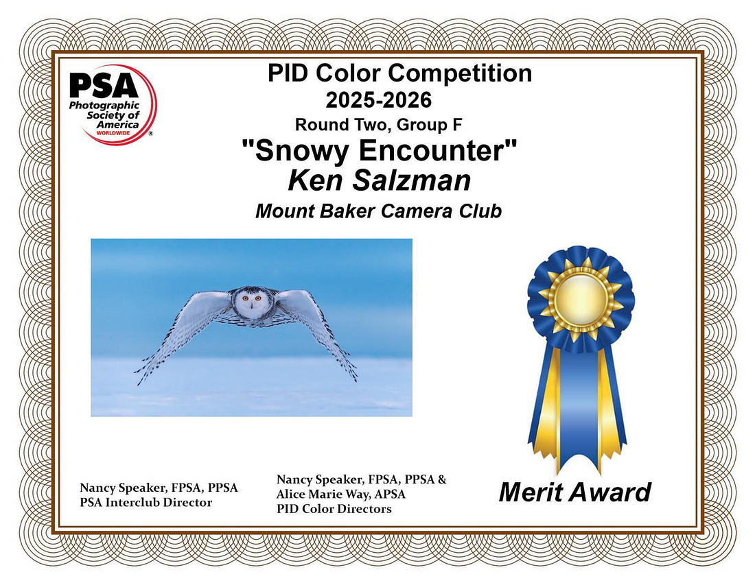 Ken Salzman.Open copy