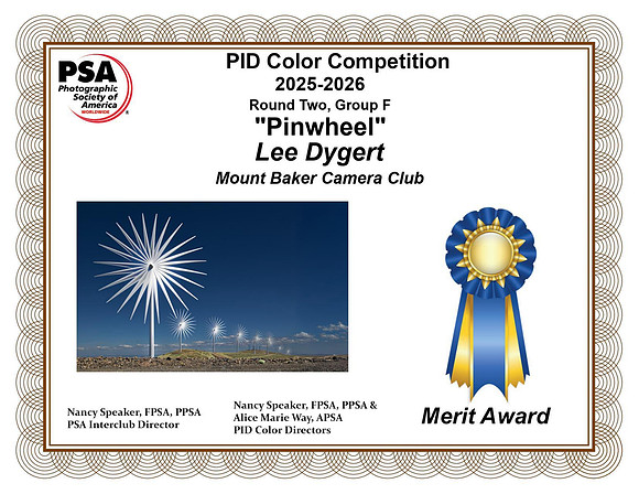 Lee Dygert.Open copy