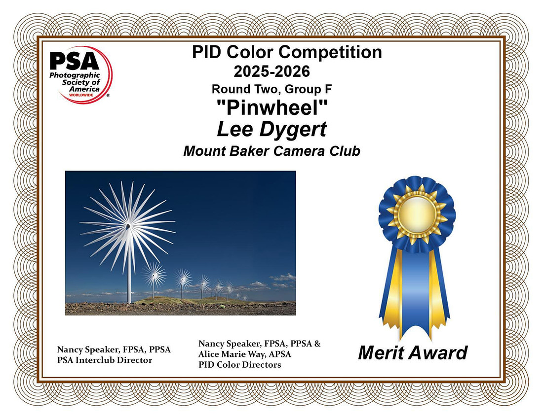 Lee Dygert.Open copy