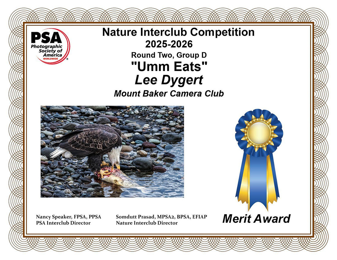 Lee Dygert. Nature copy