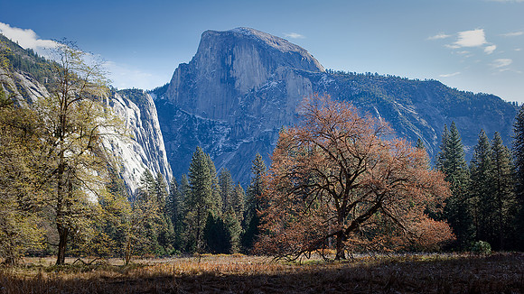 Morning in Yosemite Meadow - Ron Edman