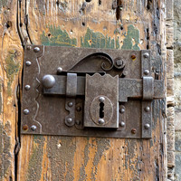 Sturdy Lock - Joan Ritzenthaler