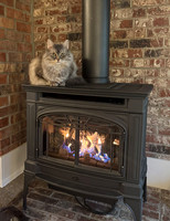 Misty on Stove - Roger Iverson