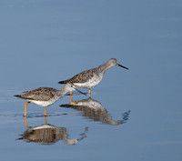 Looking for Lunch - Bob Butterfield