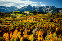 Autumn Below Mt. Sneffels, Ridgway, CO - Suzy Clemenz