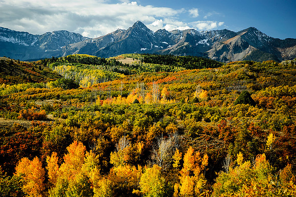 Autumn Below Mt. Sneffels, Ridgway, CO - Suzy Clemenz