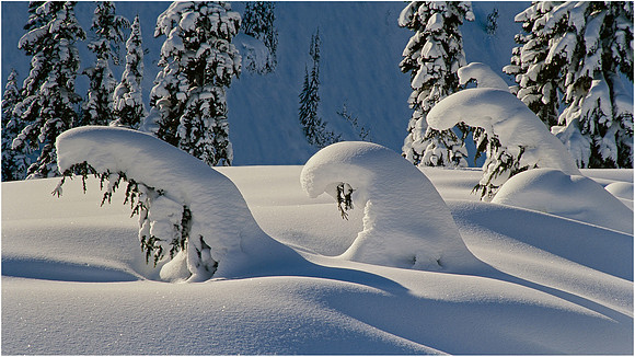 Snow Sculptures - Murphy Hektner