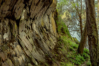 Glacial Groove - Ramona Hammerly
