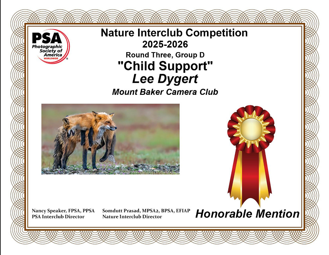 N-13)~Nature~Child Support~Lee Dygert