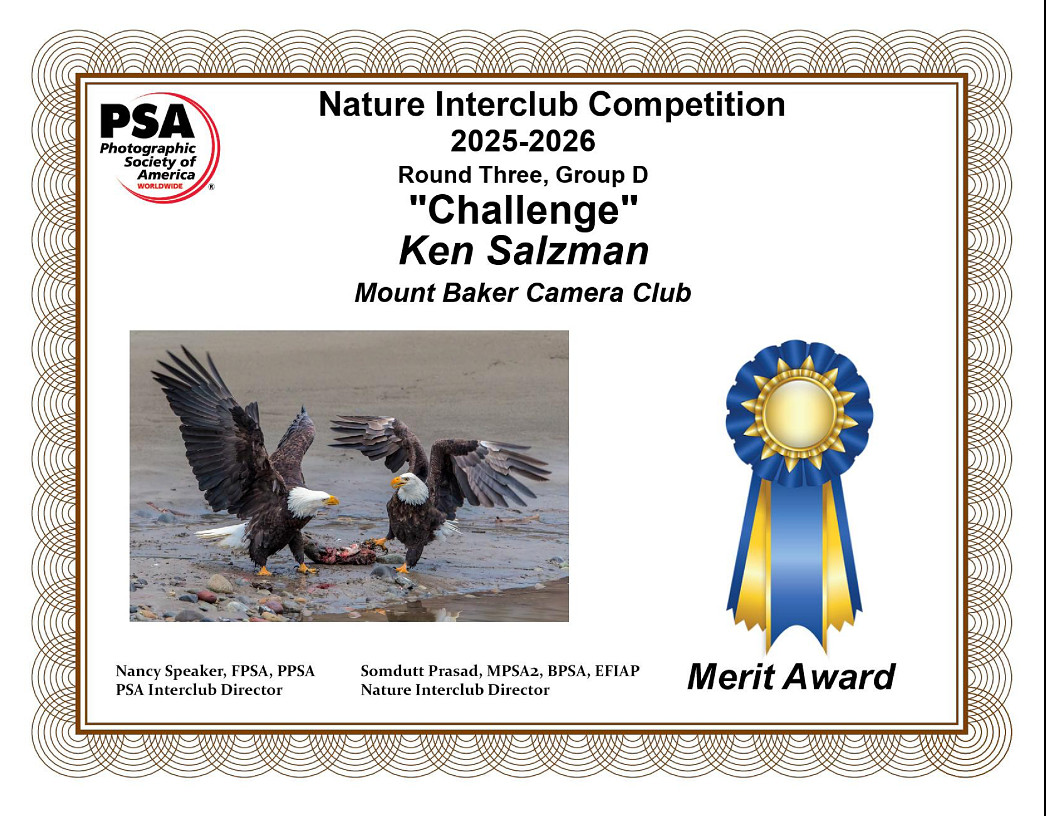 N-04)~Nature~Challenge~Ken Salzman
