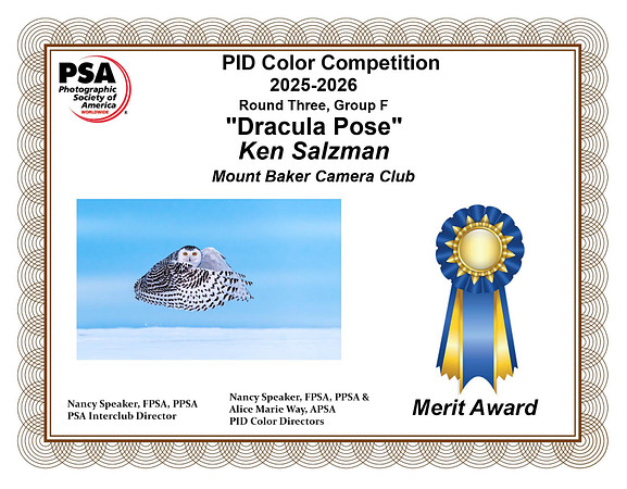 O-02)~Open~Dracula Pose~Ken Salzman
