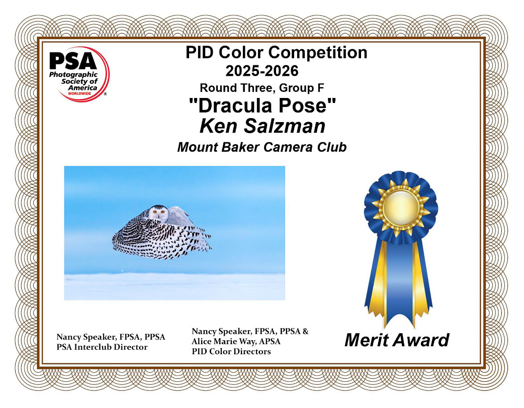 O-02)~Open~Dracula Pose~Ken Salzman