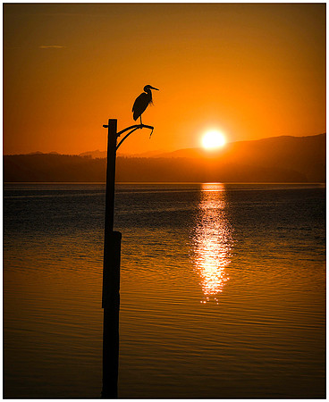 7-HM3)7-32~Open~A Perfect Morning~Keith Clements
