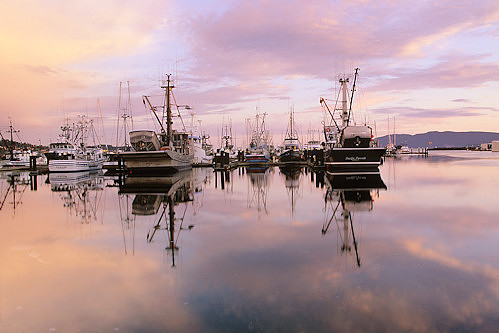 Landscape__Harbor_twilight_