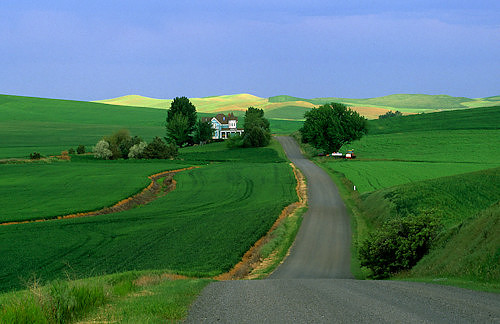 Landscape__Road_through_Palouse_