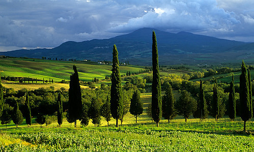 Landscape__Tuscan_landscape_