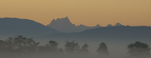 06_Early_Morning